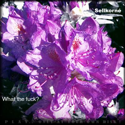 Sellkorné - What the fuck? - Dark reality